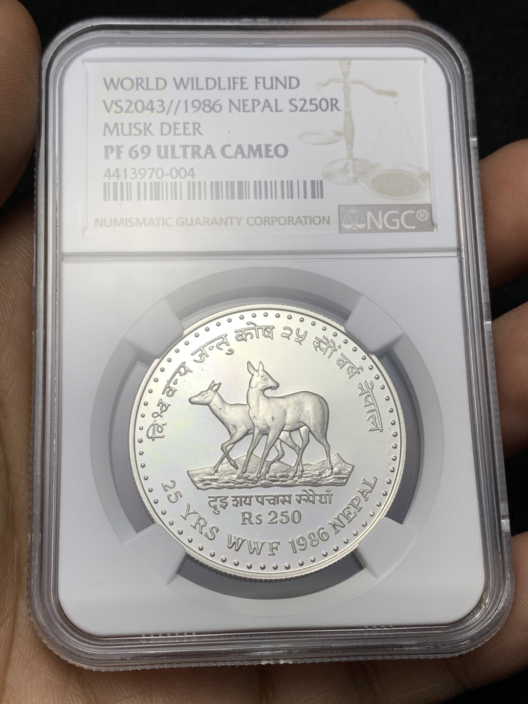 《竞宝斋》第164场-周日，周一，周四 3场 (全场包邮)