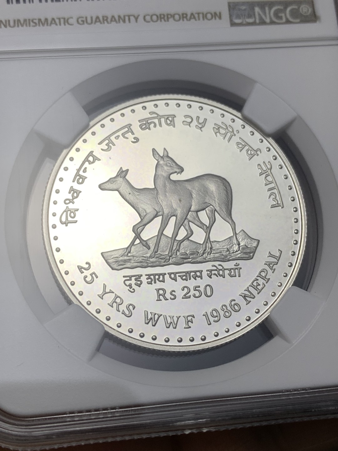 《竞宝斋》第164场-周日，周一，周四 3场 (全场包邮)