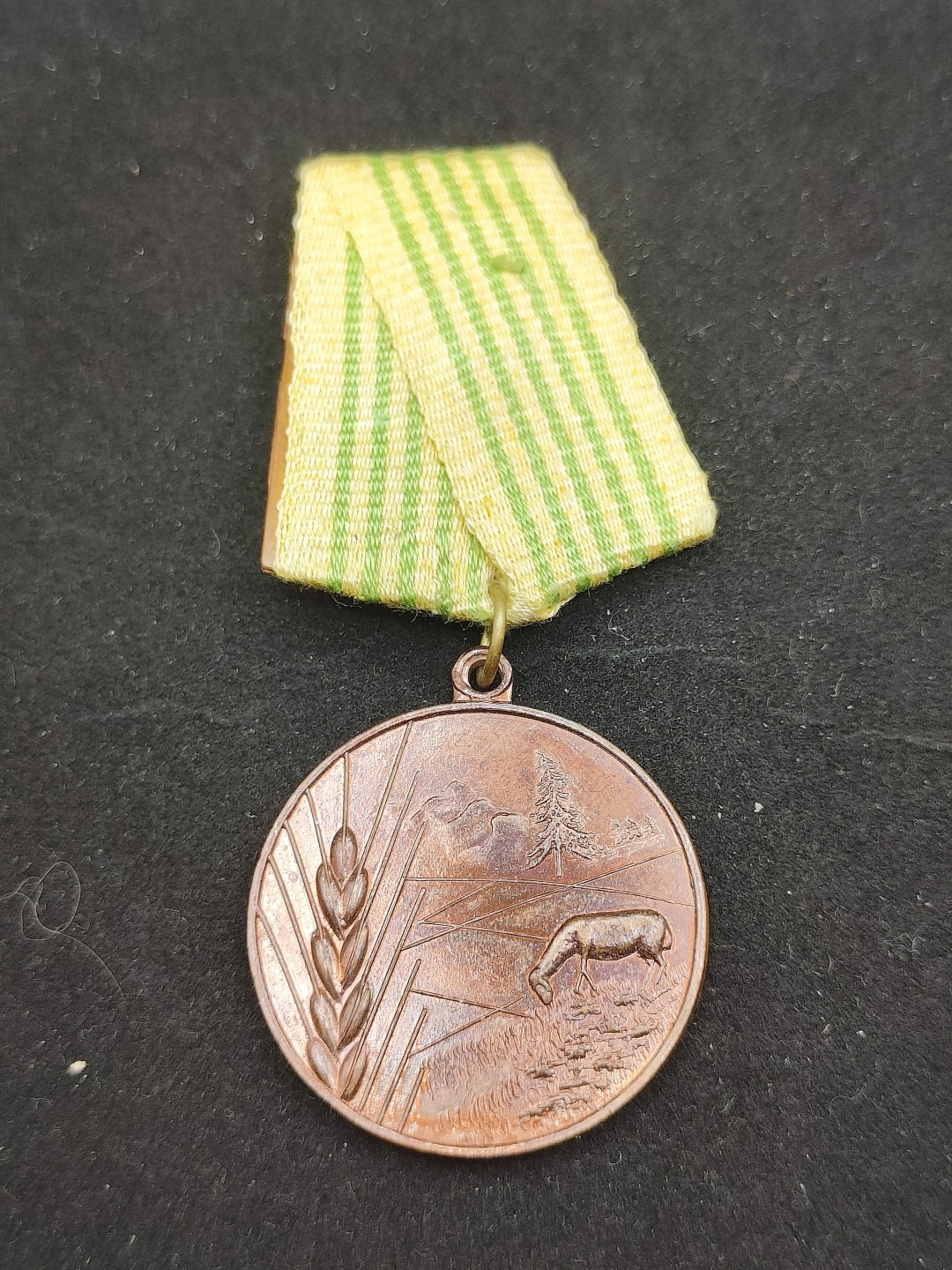 全场0元起拍 第56期 咸鱼国勋章拍卖专场 5月17日（周三）下午6：00开始 阿尔巴尼亚劳动奖章-