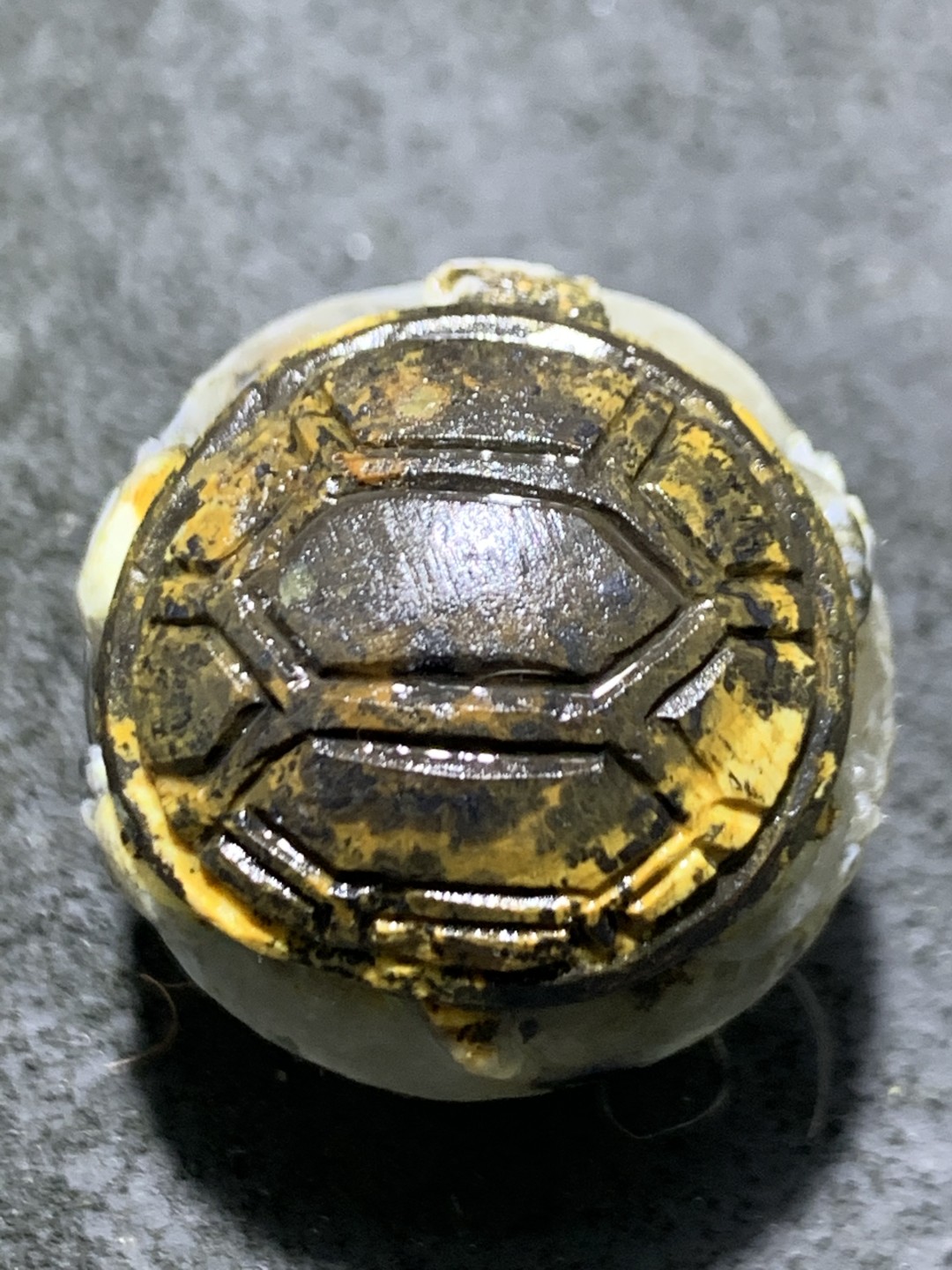 精美冰飘亚光原皮战国红玛瑙手工俏色巧雕金钱龟珠一颗！寓意：金钱归