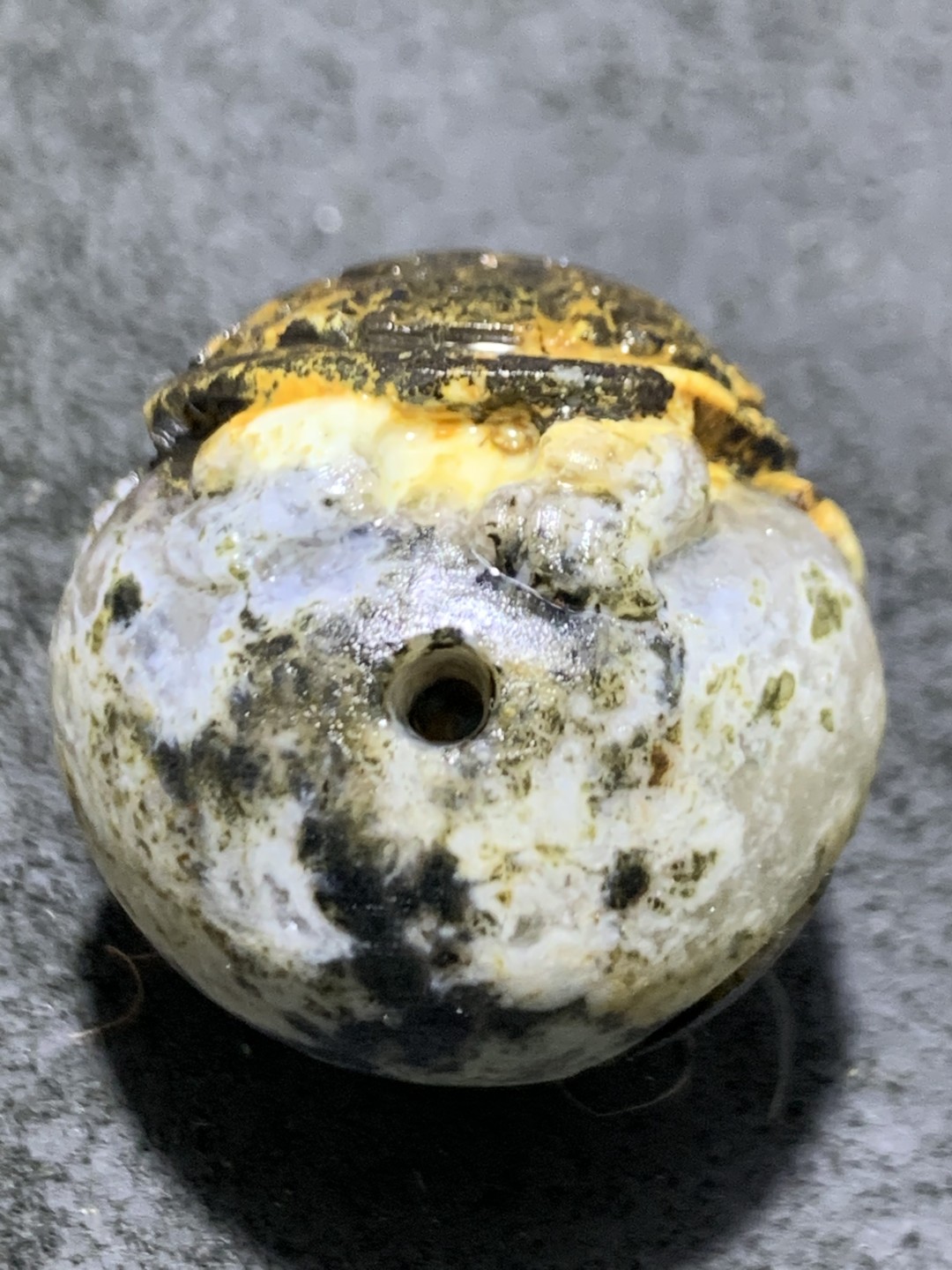 精美冰飘亚光原皮战国红玛瑙手工俏色巧雕金钱龟珠一颗！寓意：金钱归