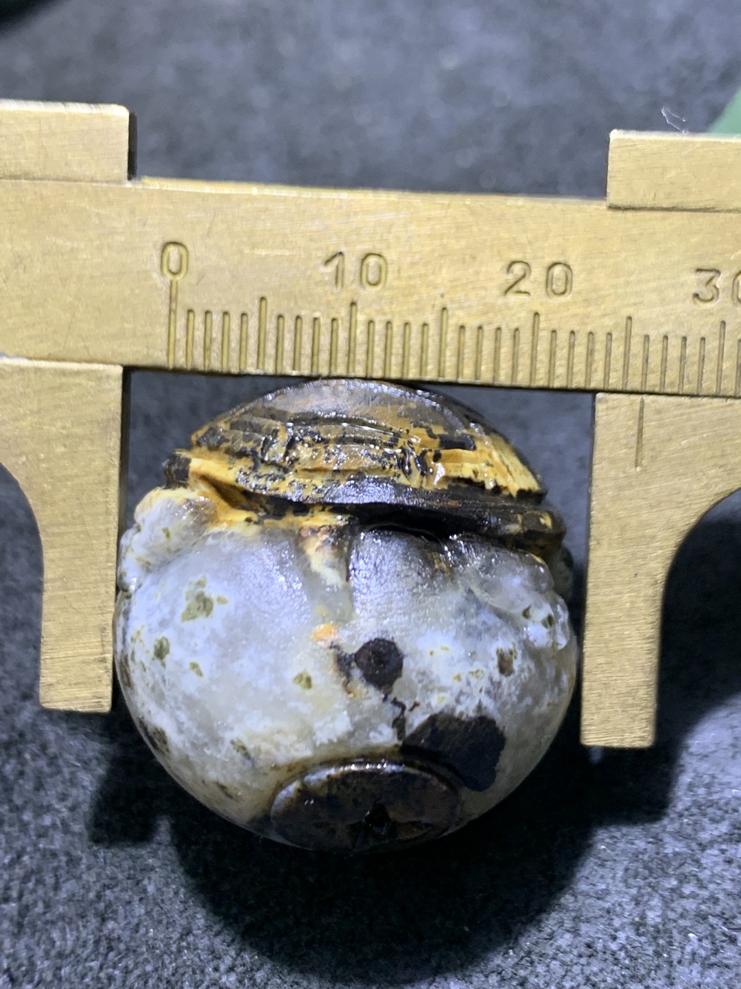精美冰飘亚光原皮战国红玛瑙手工俏色巧雕金钱龟珠一颗！寓意：金钱归