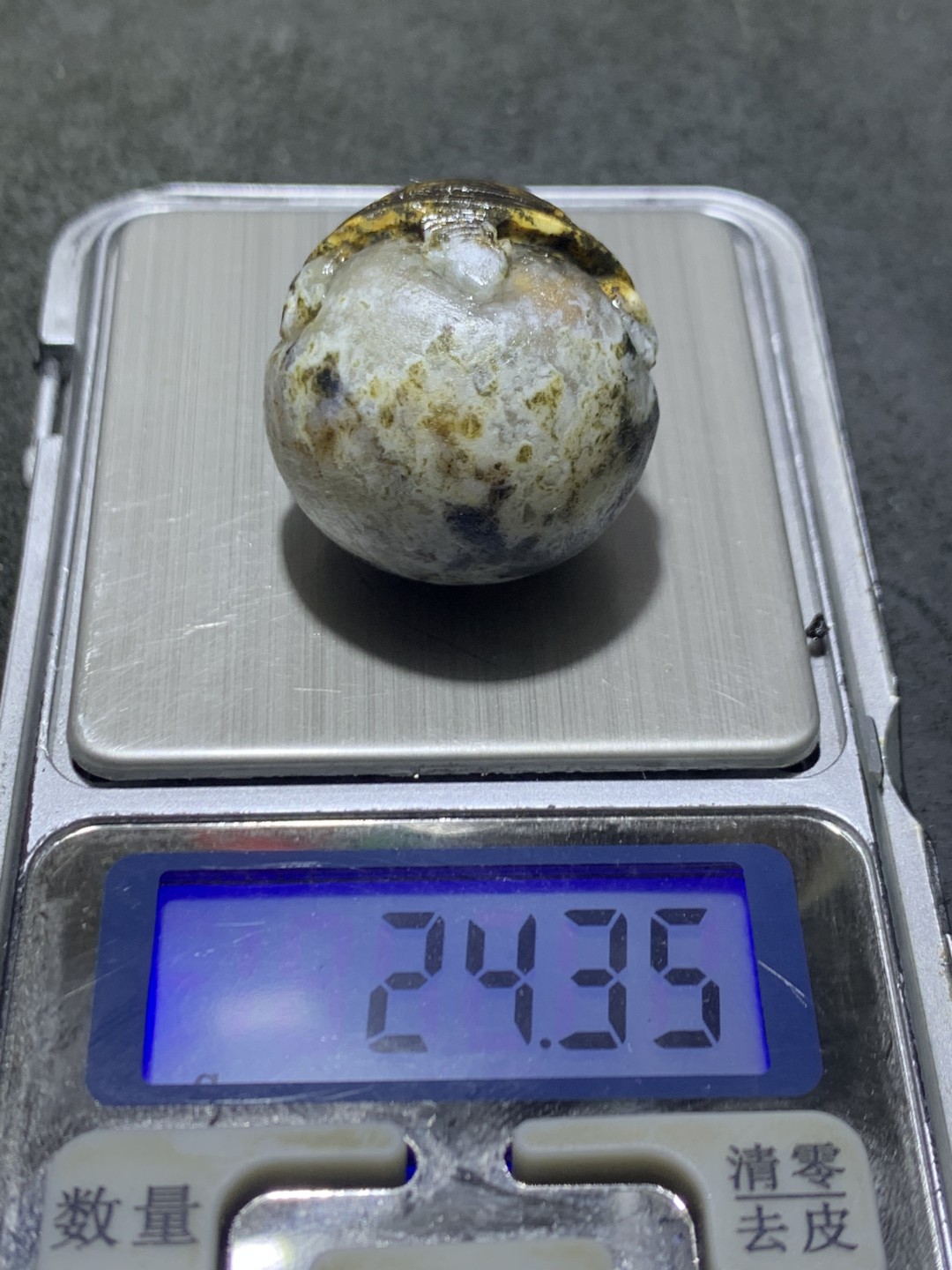 精美冰飘亚光原皮战国红玛瑙手工俏色巧雕金钱龟珠一颗！寓意：金钱归