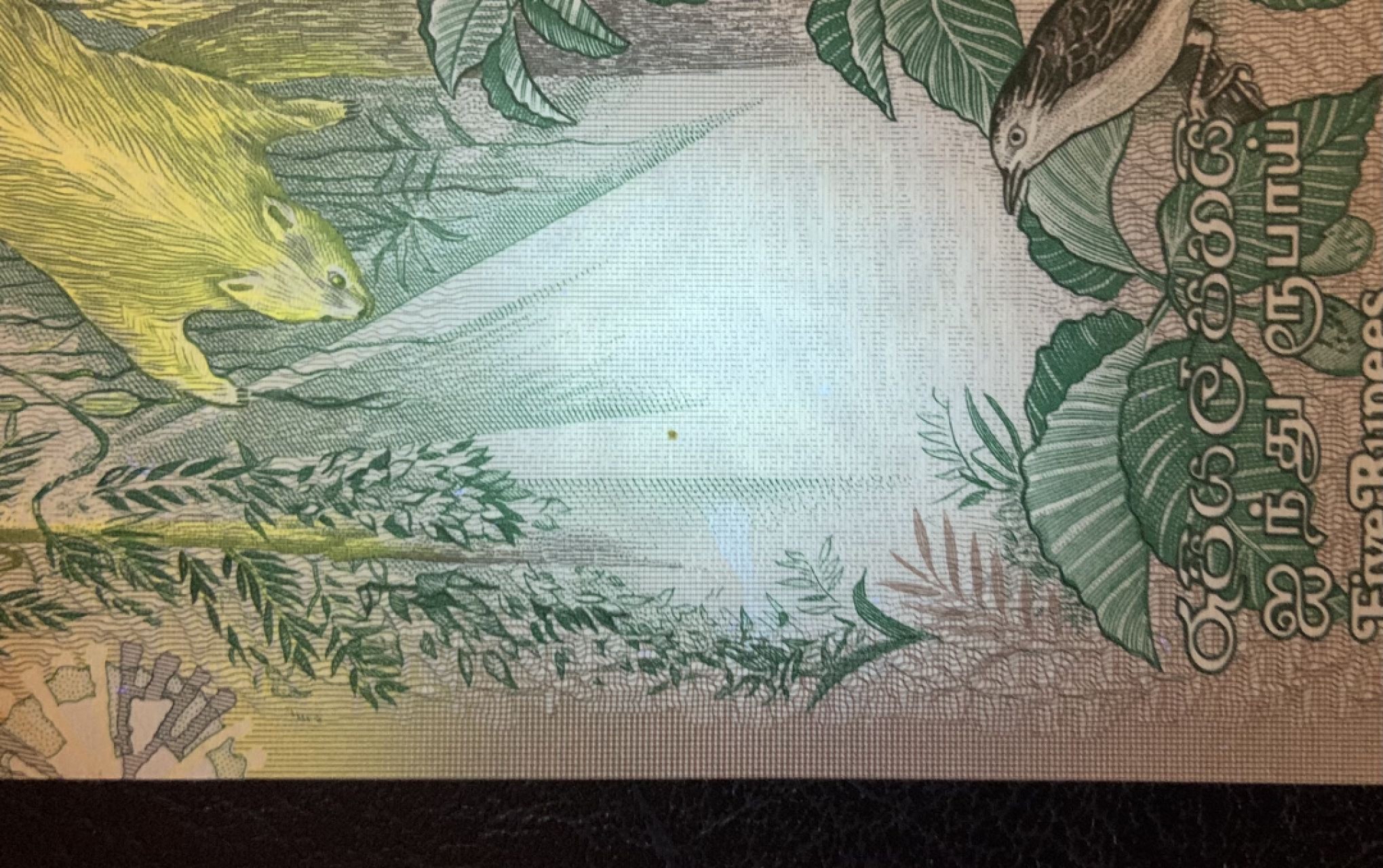 收藏联盟Quantum Auction 第259期拍卖 帝国余辉-印度新金山 斯里兰卡1979年10卢比 品相UNC 边缘和票面微瑕 细节如图