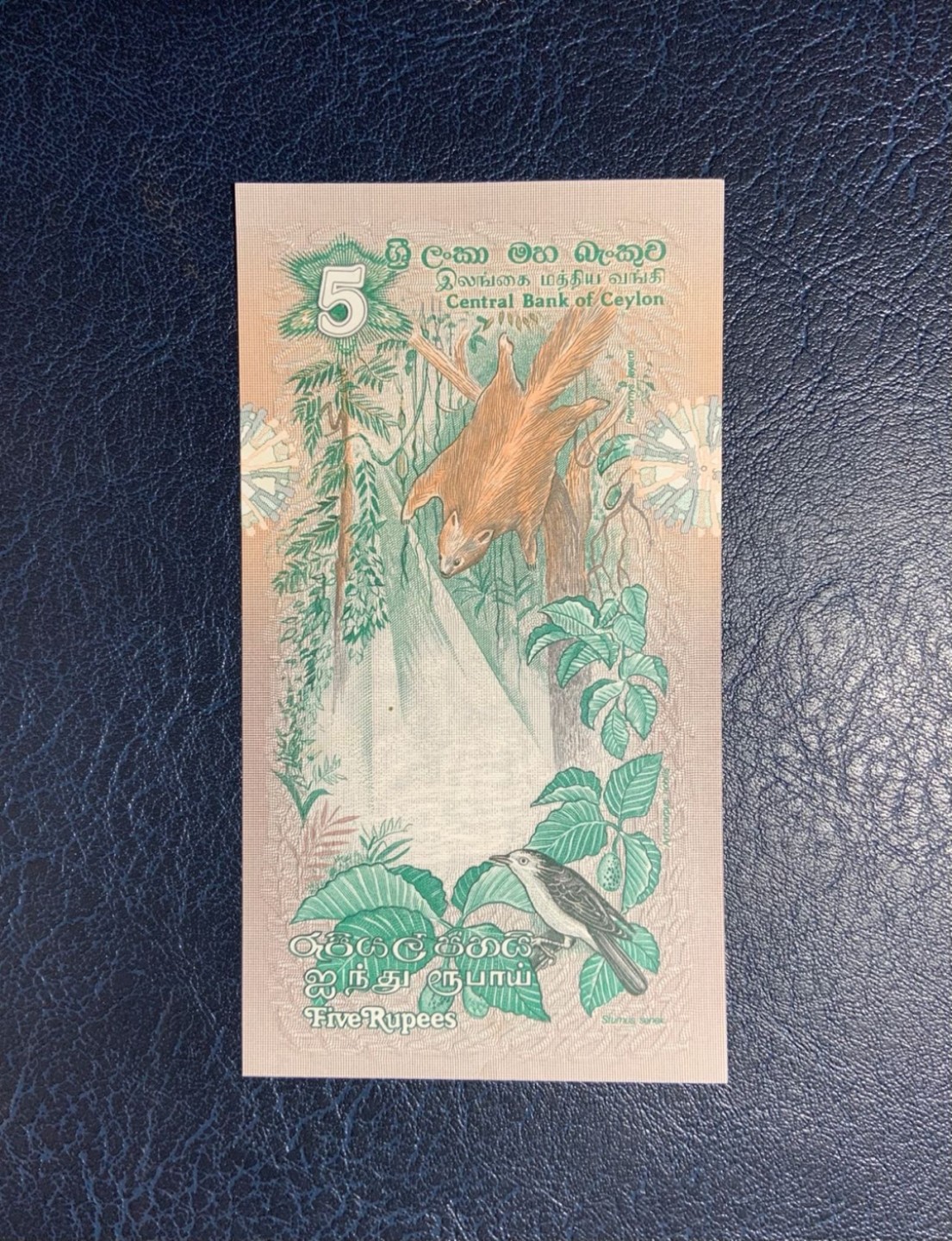 收藏联盟Quantum Auction 第259期拍卖 帝国余辉-印度新金山 斯里兰卡1979年10卢比 品相UNC 边缘和票面微瑕 细节如图