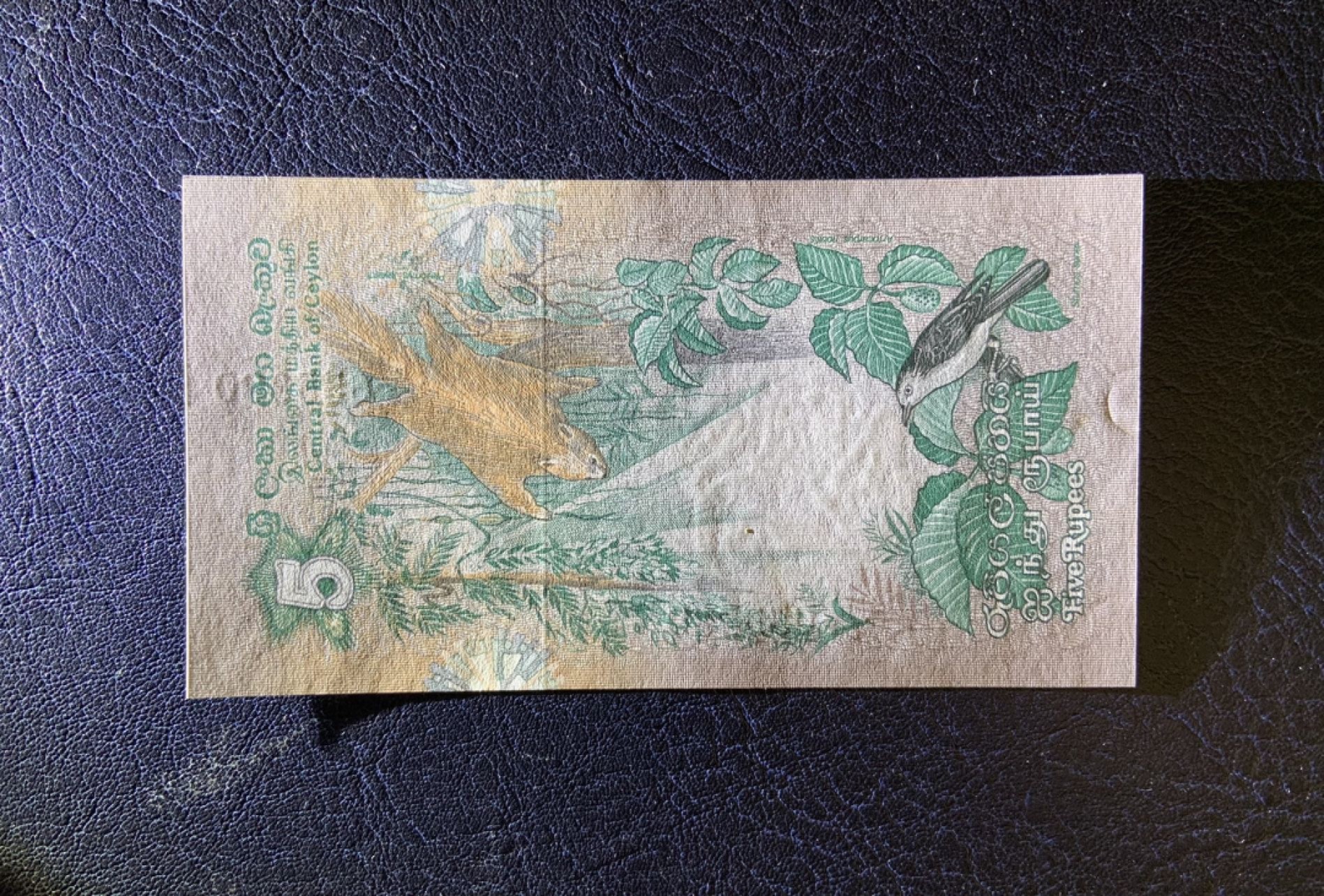 收藏联盟Quantum Auction 第259期拍卖 帝国余辉-印度新金山 斯里兰卡1979年10卢比 品相UNC 边缘和票面微瑕 细节如图