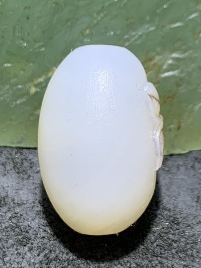 精美亚光高玉化海洋玉髓手工俏色巧雕蝴蝶随形桶珠一个！ 精美亚光高玉化海洋玉髓手工俏色巧雕蝴蝶随形桶珠一个！