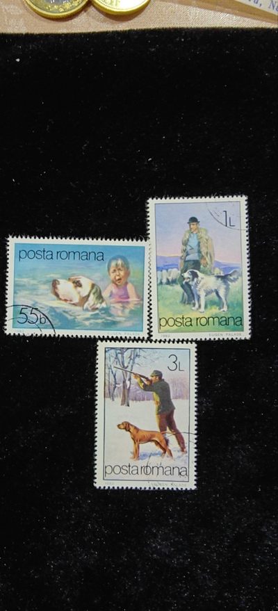 邮票纸品（一） - 罗马尼亚-82年训犬