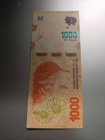 【专场20230517】掇菁撷华第V期——世界精选钞品专场 - 【拍品002E】阿根廷2018版1000比索全新UNC