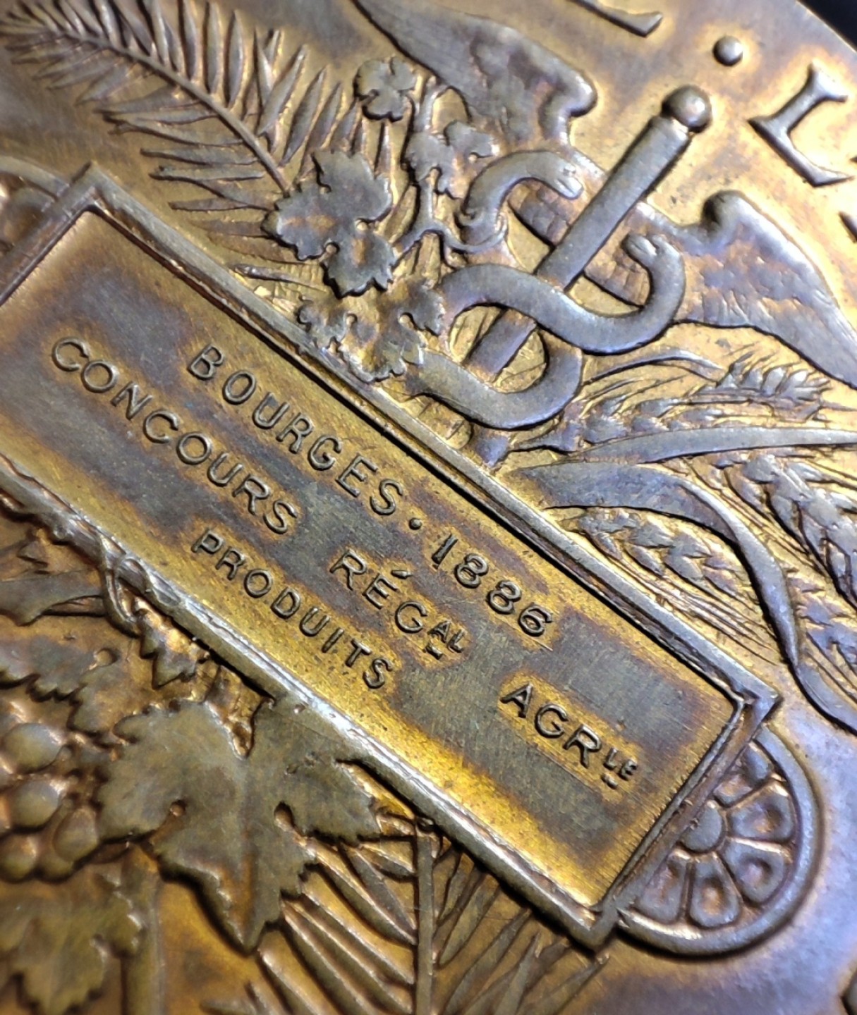 五月清仓会 周五九点结拍 1886法国墨丘利铜章