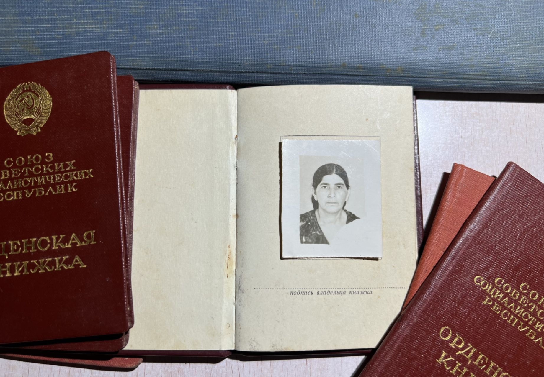 大猫徽章拍卖第224期 苏联母亲一套 金星背钉有修整