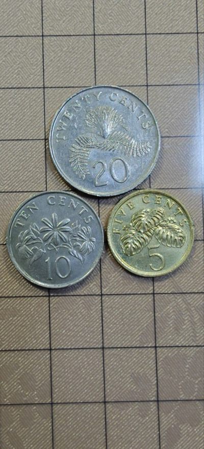 轻松集币无压力 - 新加坡硬币一组