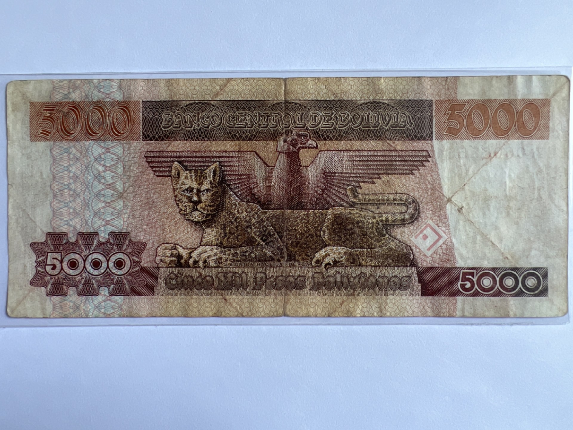 泡泡堂微拍第163幕纸币捡漏可累计专场👿👿，累计满二十元包邮，接受代拍业务 玻利维亚5000比索