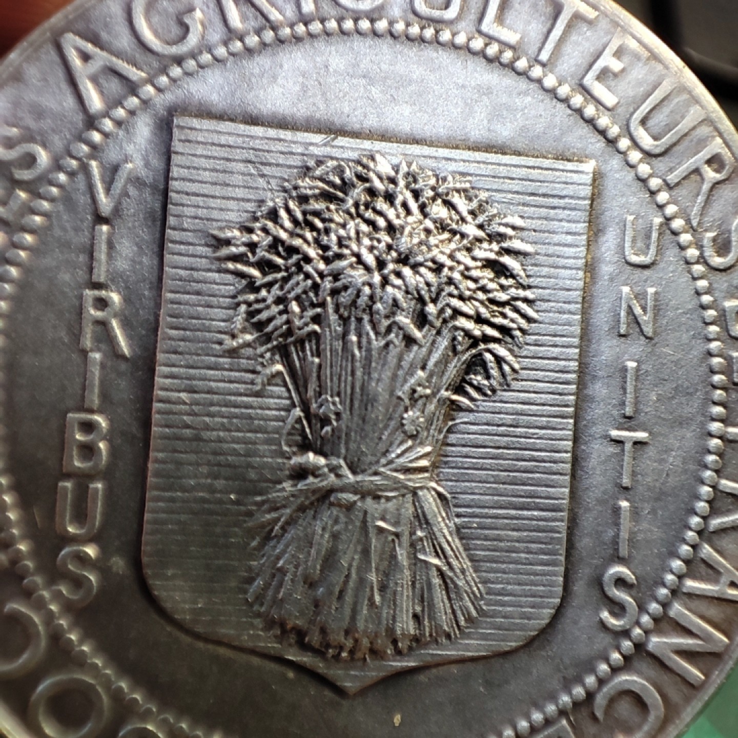 五月清仓会 周五九点结拍