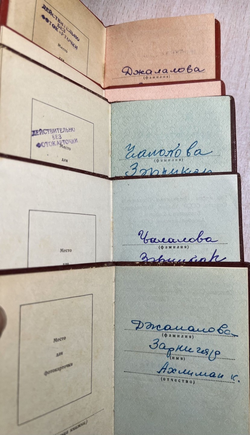 大猫徽章拍卖第224期 苏联母亲一套 金星背钉有修整