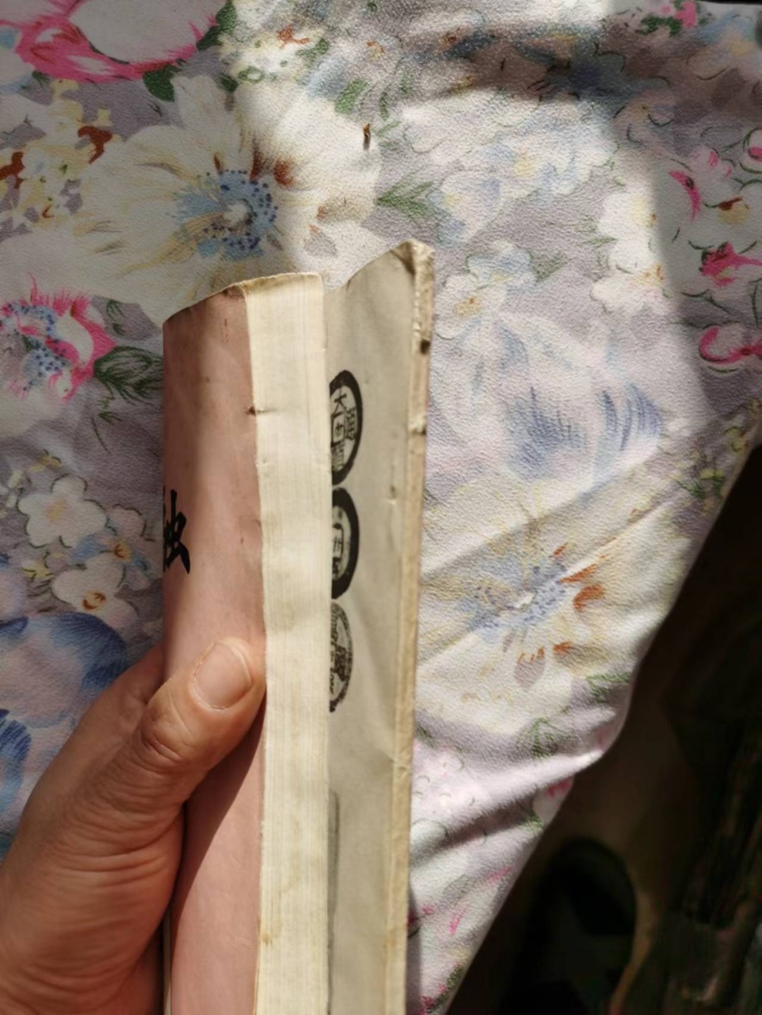 《陕西金融》明代钱币研究专辑