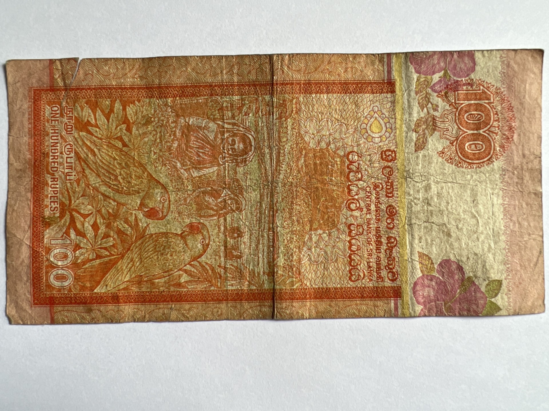 泡泡堂微拍第163幕纸币捡漏可累计专场👿👿，累计满二十元包邮，接受代拍业务 斯里兰卡100卢比