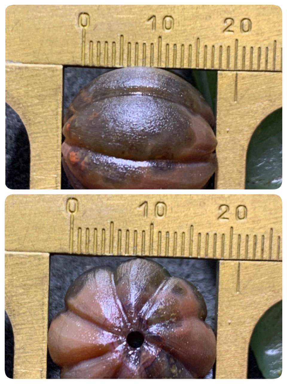 精美亚光战国红玛瑙手工雕刻瓜珠一颗！