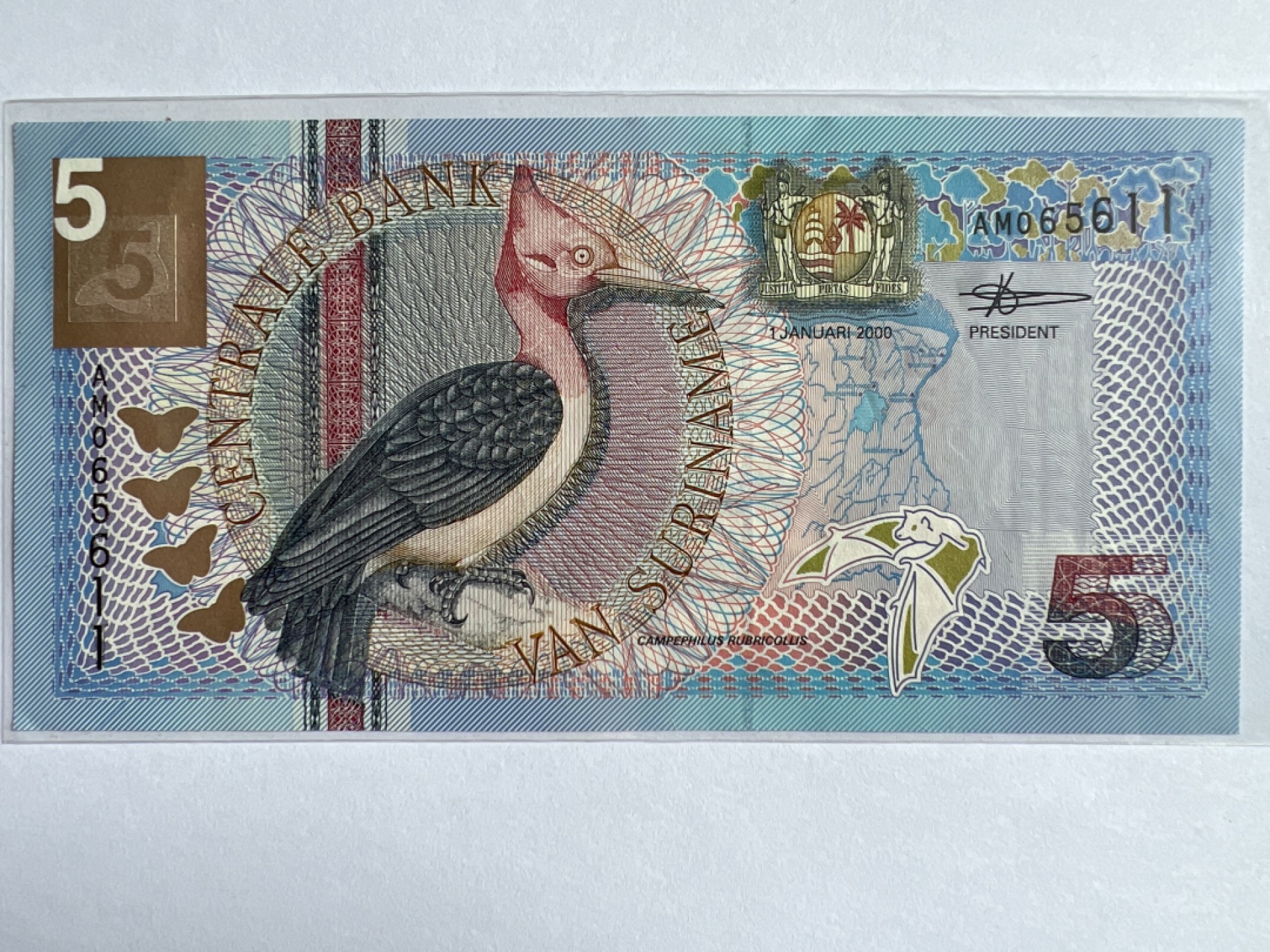 泡泡堂微拍第164幕纸币捡漏可累计专场👿👿，累计满二十元包邮，接受代拍业务 苏里南5盾