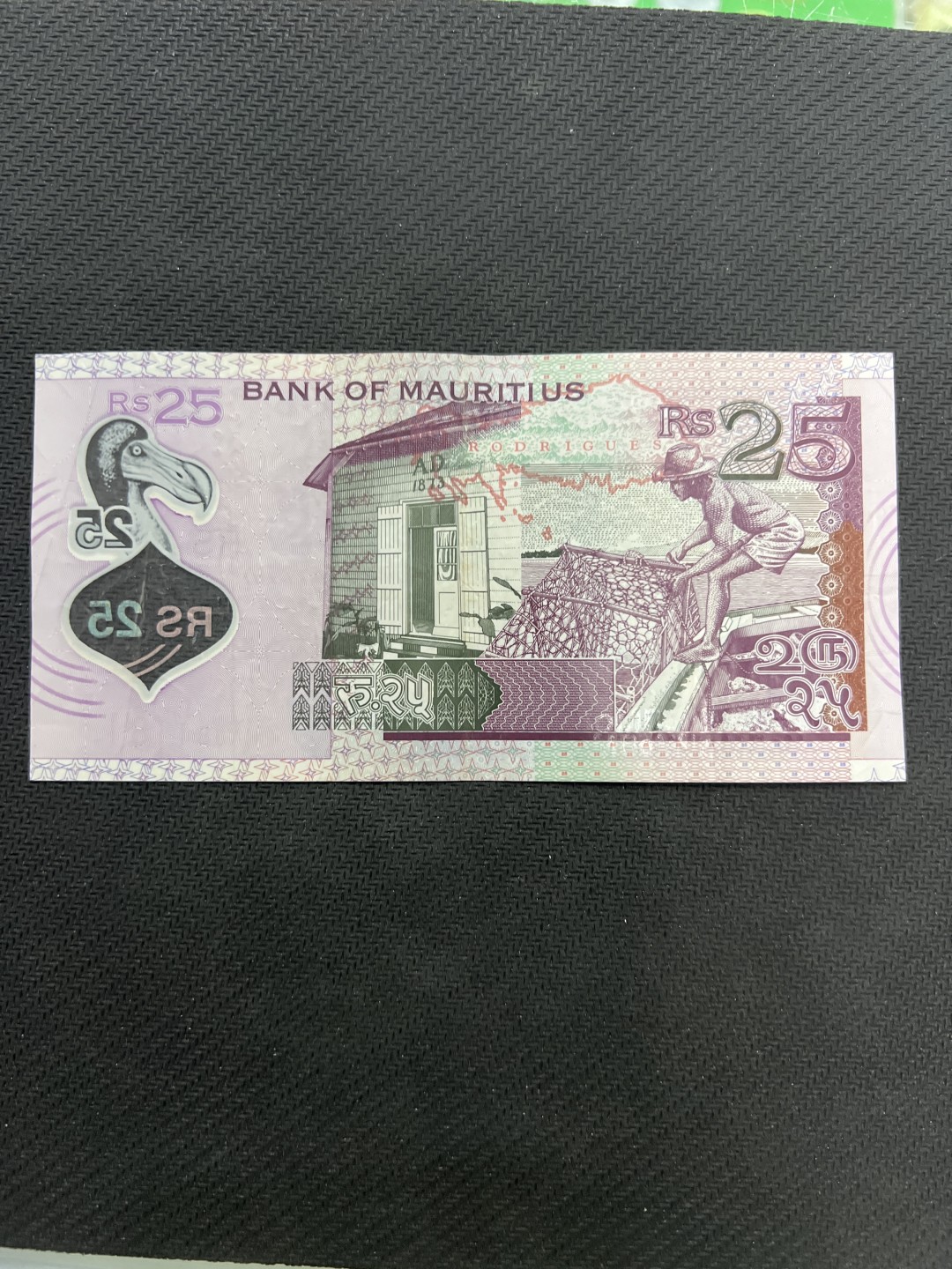 飞翔风筝外国硬币纸币第一场 毛里求斯25