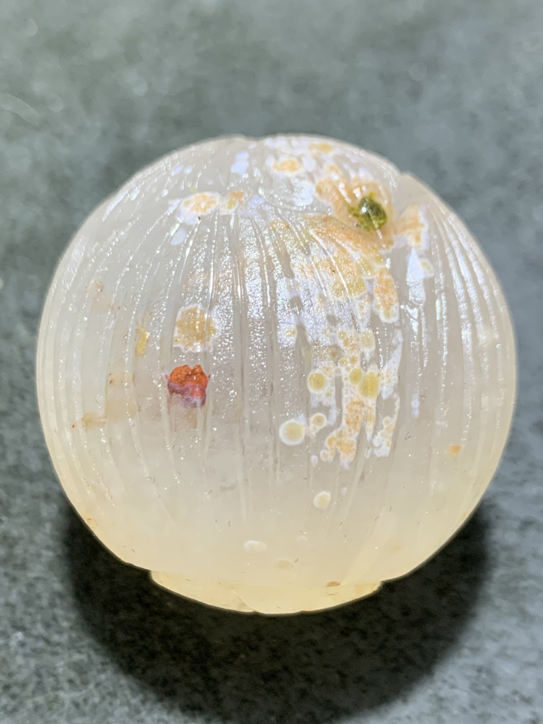 精美满冰原皮亚光战国红玛瑙手工雕刻莲花大尺寸珠一个，