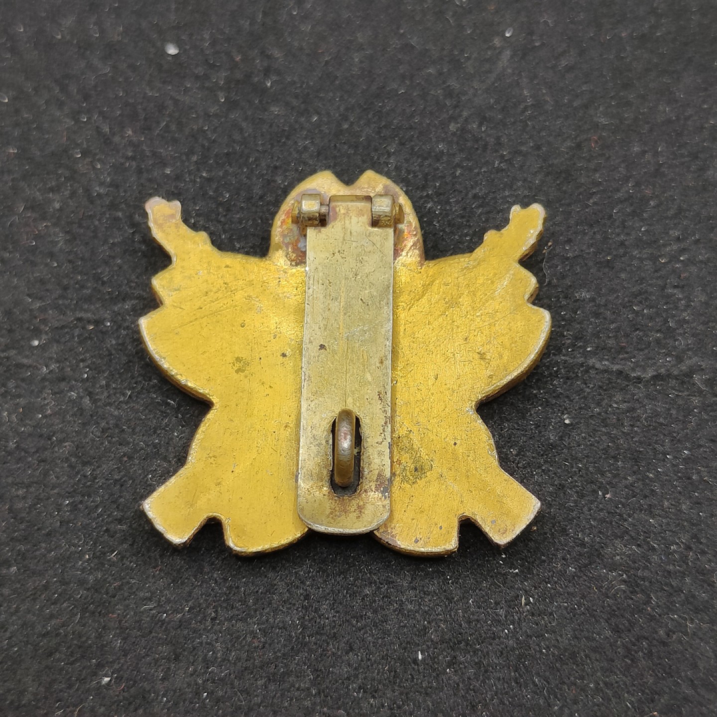 全场0元起拍 第58期 咸鱼国勋章拍卖专场 5月24日（周三）下午6：00开始  陆军小铳射击技能章