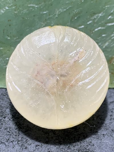 精美满冰糖心料亚光战国红玛瑙手工雕刻莲花背云（板珠）一个， - 精美满冰糖心料亚光战国红玛瑙手工雕刻莲花背云（板珠）一个，