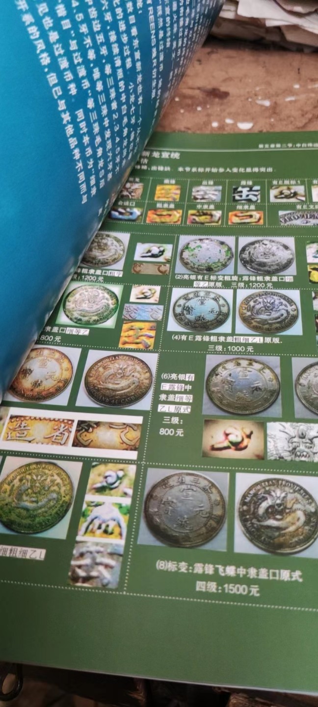 东三省造银币七百种实辨录（9品左右，封面脱落）