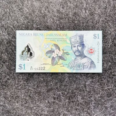 84th ¥¥ 🐰 🇧🇳文莱2013-2019-2020年1-10-50元，新年份 - 文莱2019年1元，豹子号222，（D/63 724222）
