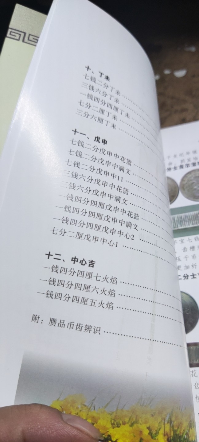 吉林银币边齿形态辑集