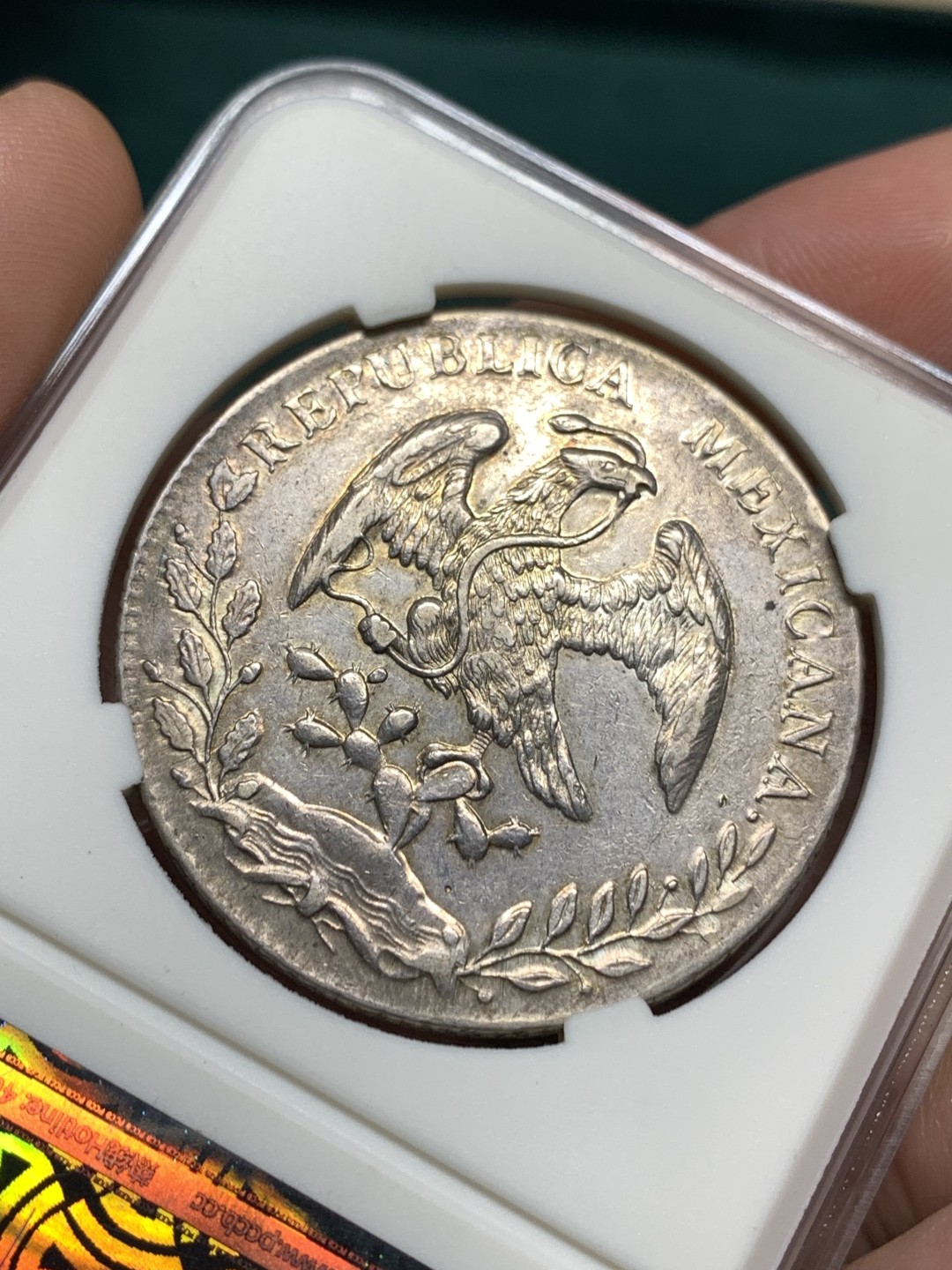 《竞宝斋》第167场-周日，周一，周四 3场 (全场包邮) 墨西哥 1891年 8R 花边鹰洋 大银币