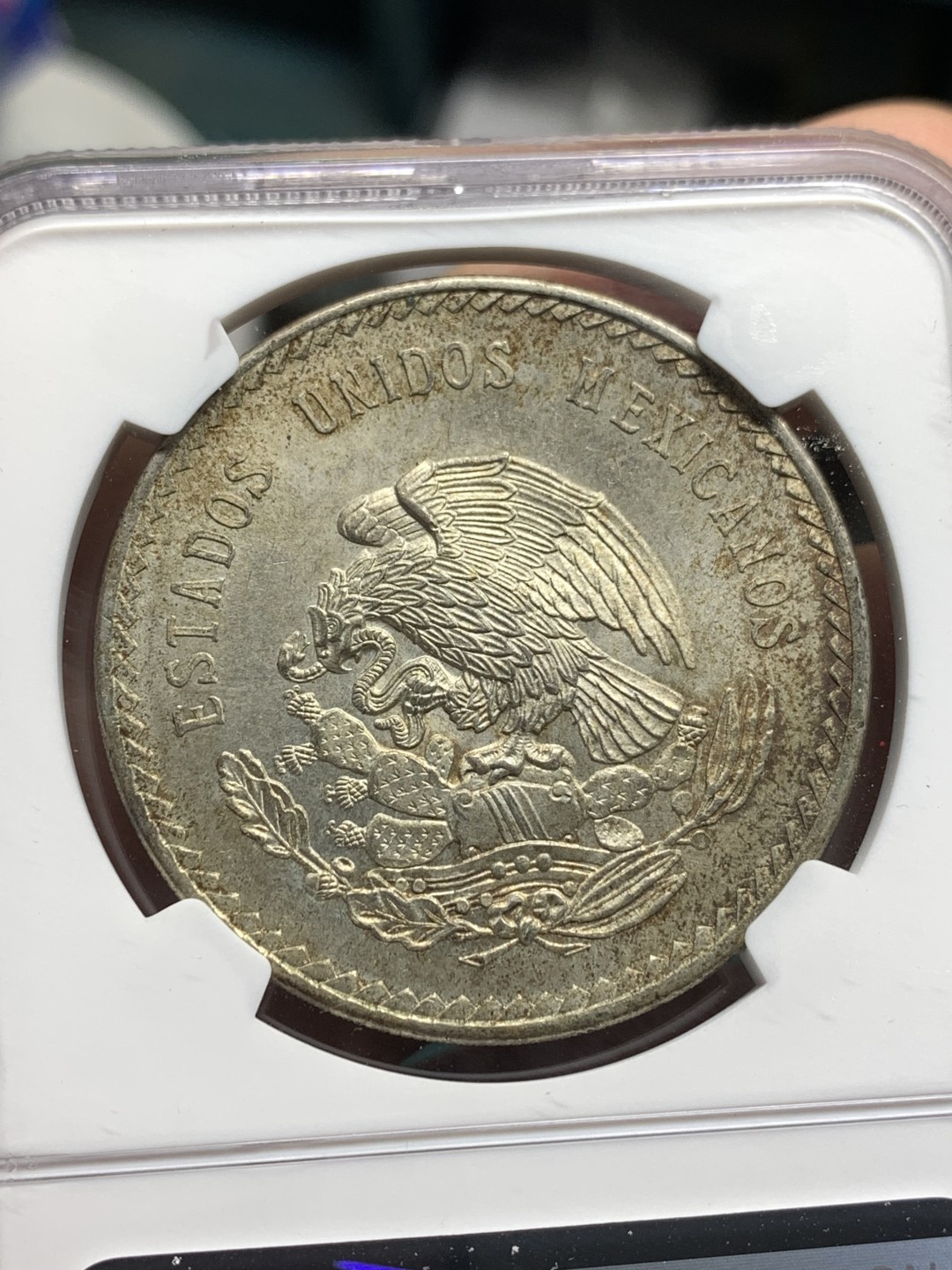 《竞宝斋》第167场-周日，周一，周四 3场 (全场包邮) NGC MS64 墨西哥 印第安人 5比索大银币 原味包浆 上64少