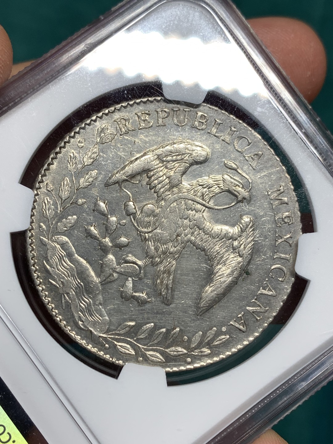 《竞宝斋》第167场-周日，周一，周四 3场 (全场包邮) NGC-MS61 墨西哥 1886 8瑞尔 花边鹰洋 银币 底板很不错 光度很足