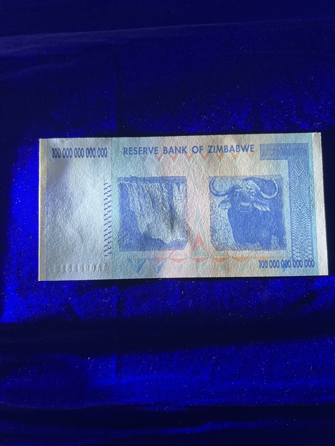 飞翔风筝外国硬币纸币第一场 津巴布韦100万亿
