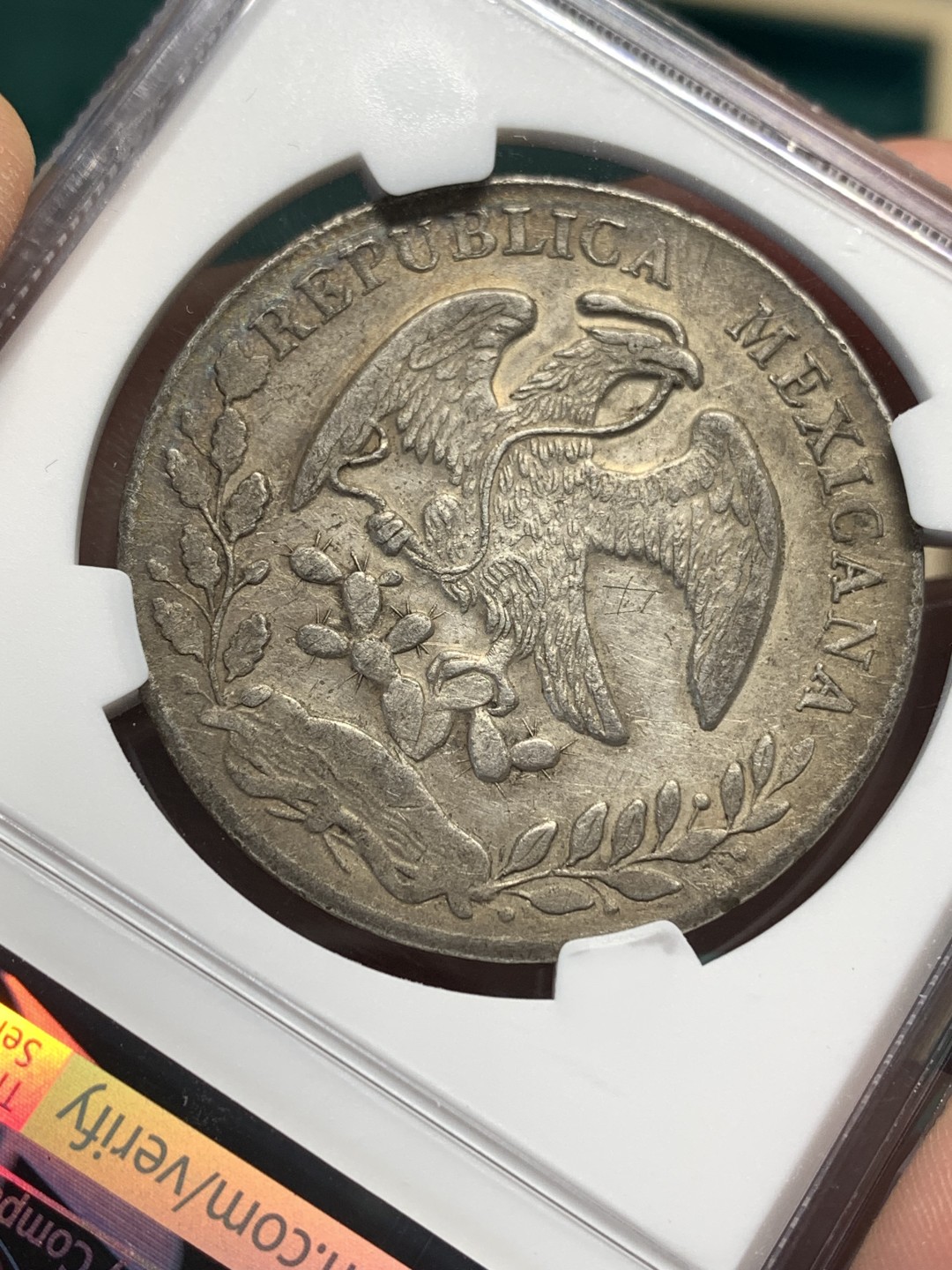 《竞宝斋》第167场-周日，周一，周四 3场 (全场包邮) NGC XF 墨西哥 1872HO PR 少见版本  8R 花边 鹰洋 大银币