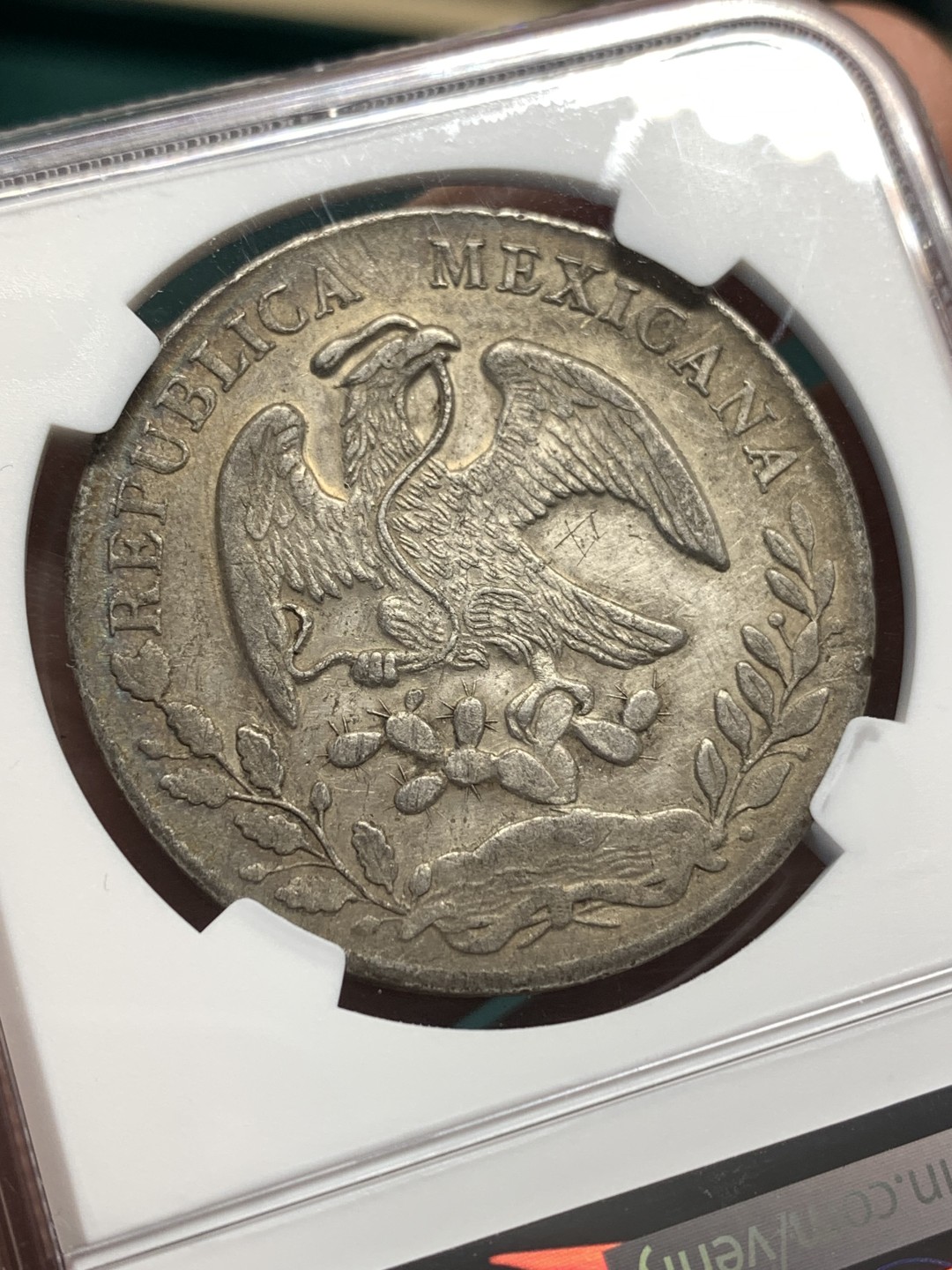 《竞宝斋》第167场-周日，周一，周四 3场 (全场包邮) NGC XF 墨西哥 1872HO PR 少见版本  8R 花边 鹰洋 大银币