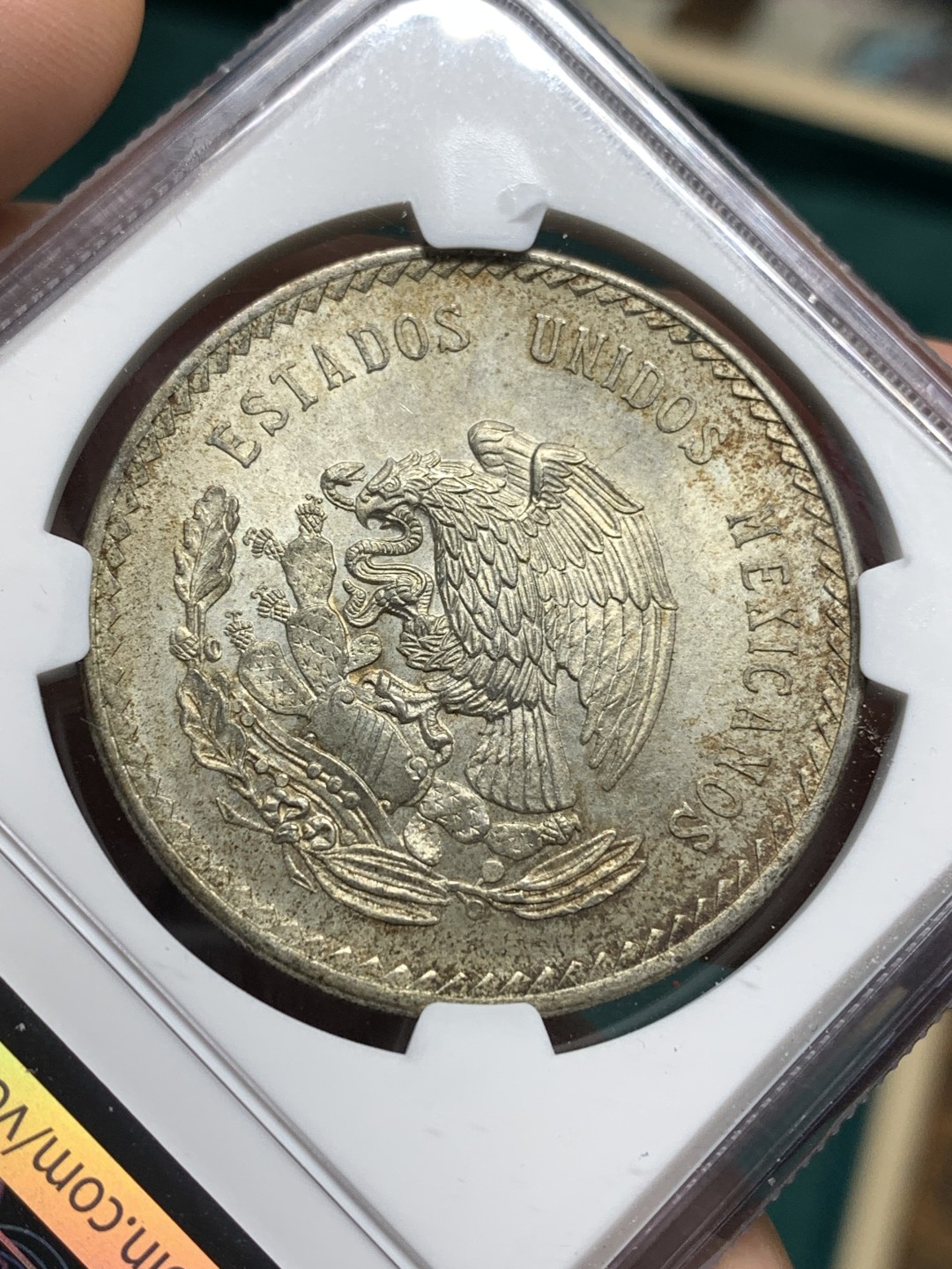 《竞宝斋》第167场-周日，周一，周四 3场 (全场包邮) NGC MS64 墨西哥 印第安人 5比索大银币 原味包浆 上64少