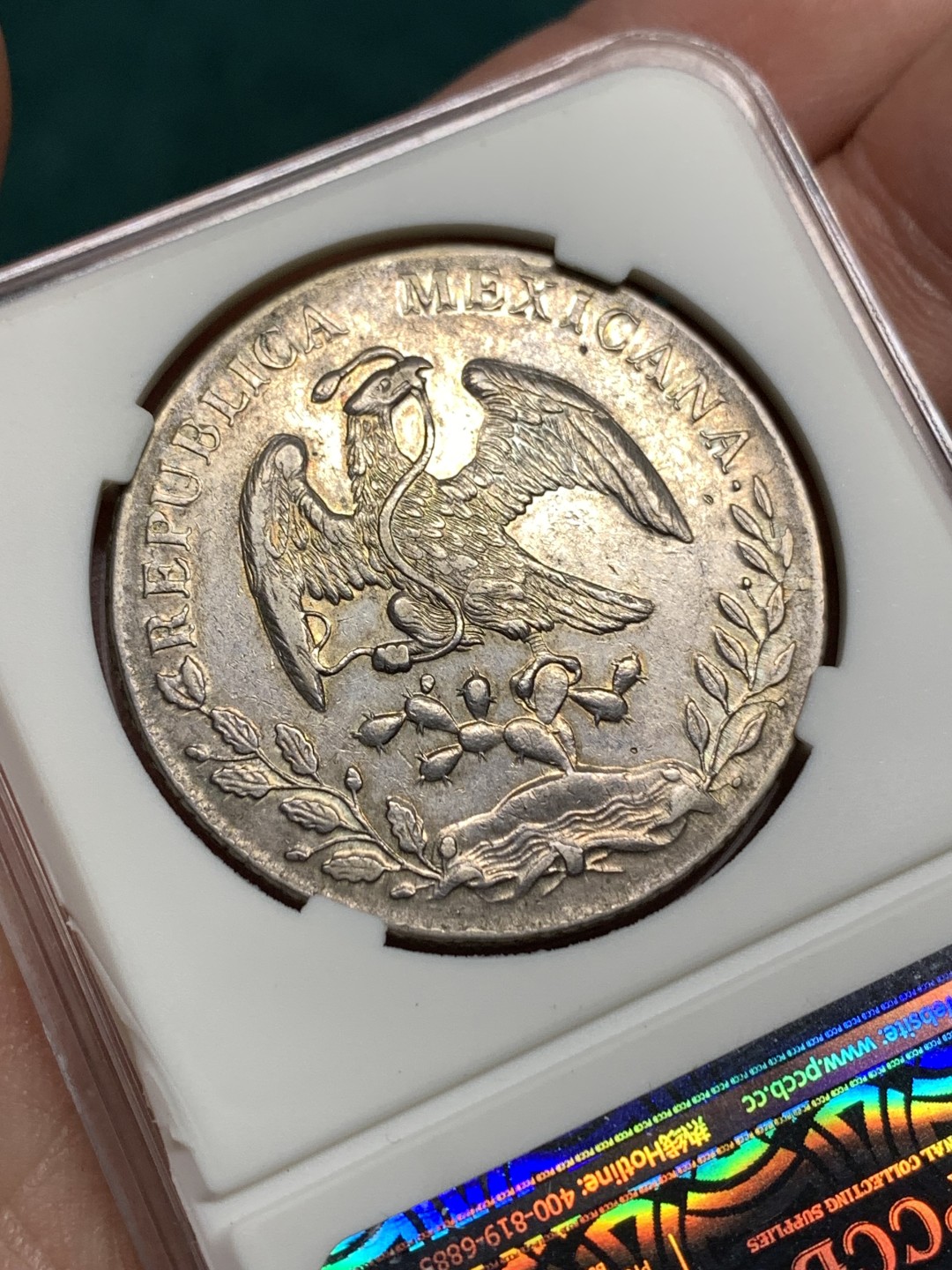 《竞宝斋》第167场-周日，周一，周四 3场 (全场包邮) 墨西哥 1891年 8R 花边鹰洋 大银币