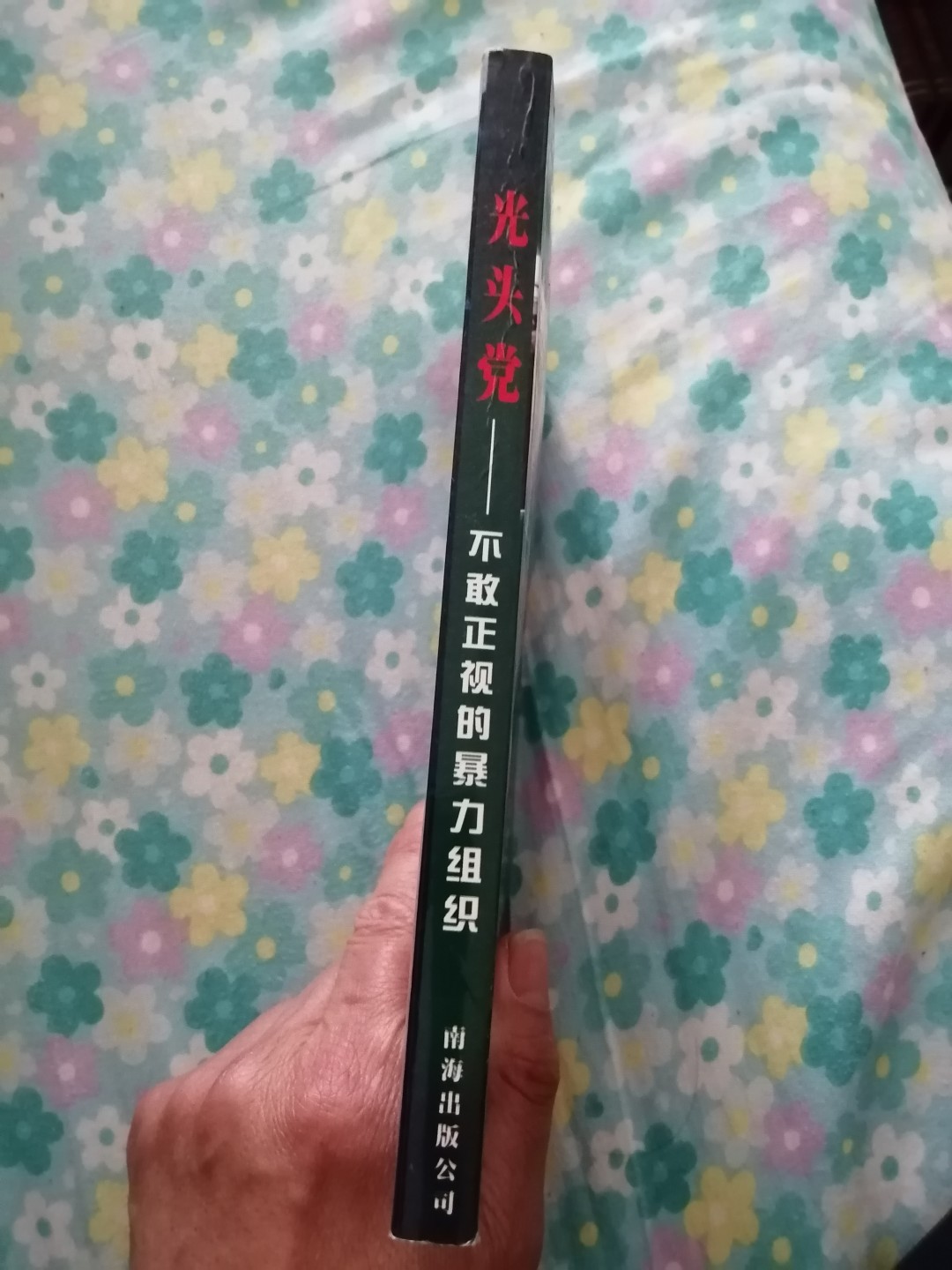 《光头党》