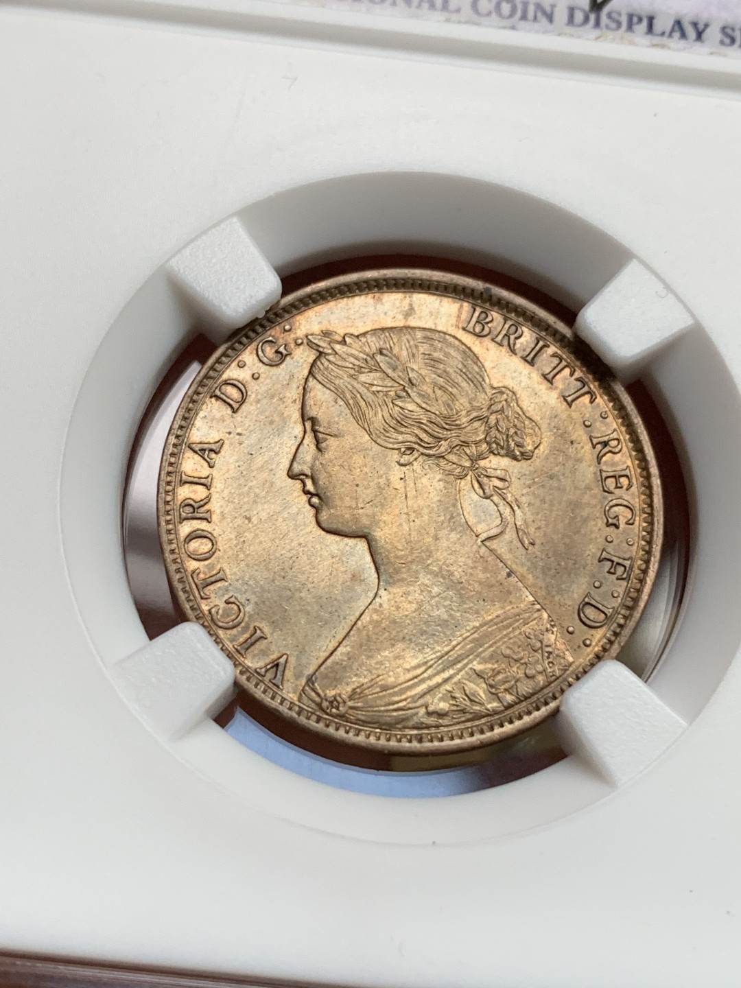 《竞宝斋》第167场-周日，周一，周四 3场 (全场包邮) 加拿大 1861年 维多利亚 新斯科舍 1分铜币 少见品种