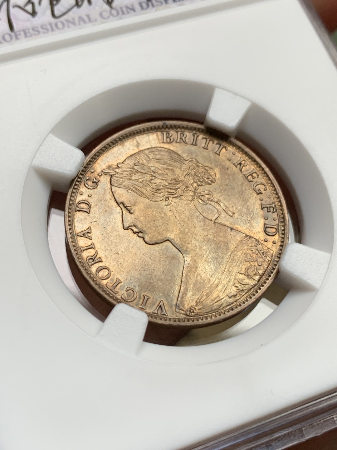 《竞宝斋》第167场-周日，周一，周四 3场 (全场包邮) 加拿大 1861年 维多利亚 新斯科舍 1分铜币 少见品种