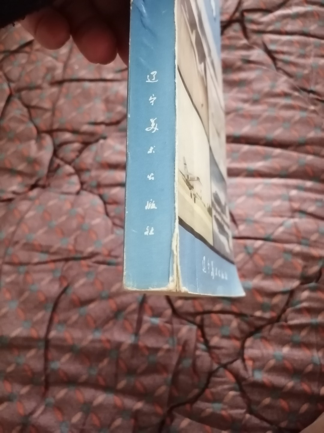 《艺用飞机资料》