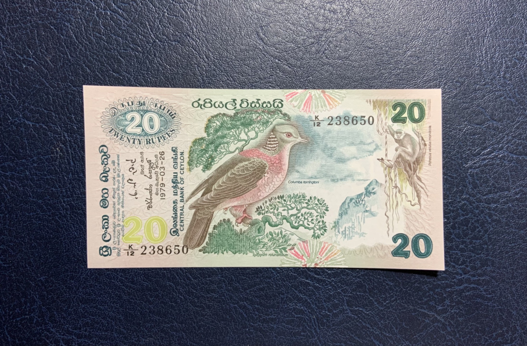收藏联盟Quantum Auction 第261期拍卖  斯里兰卡1979年20卢比 品相UNC