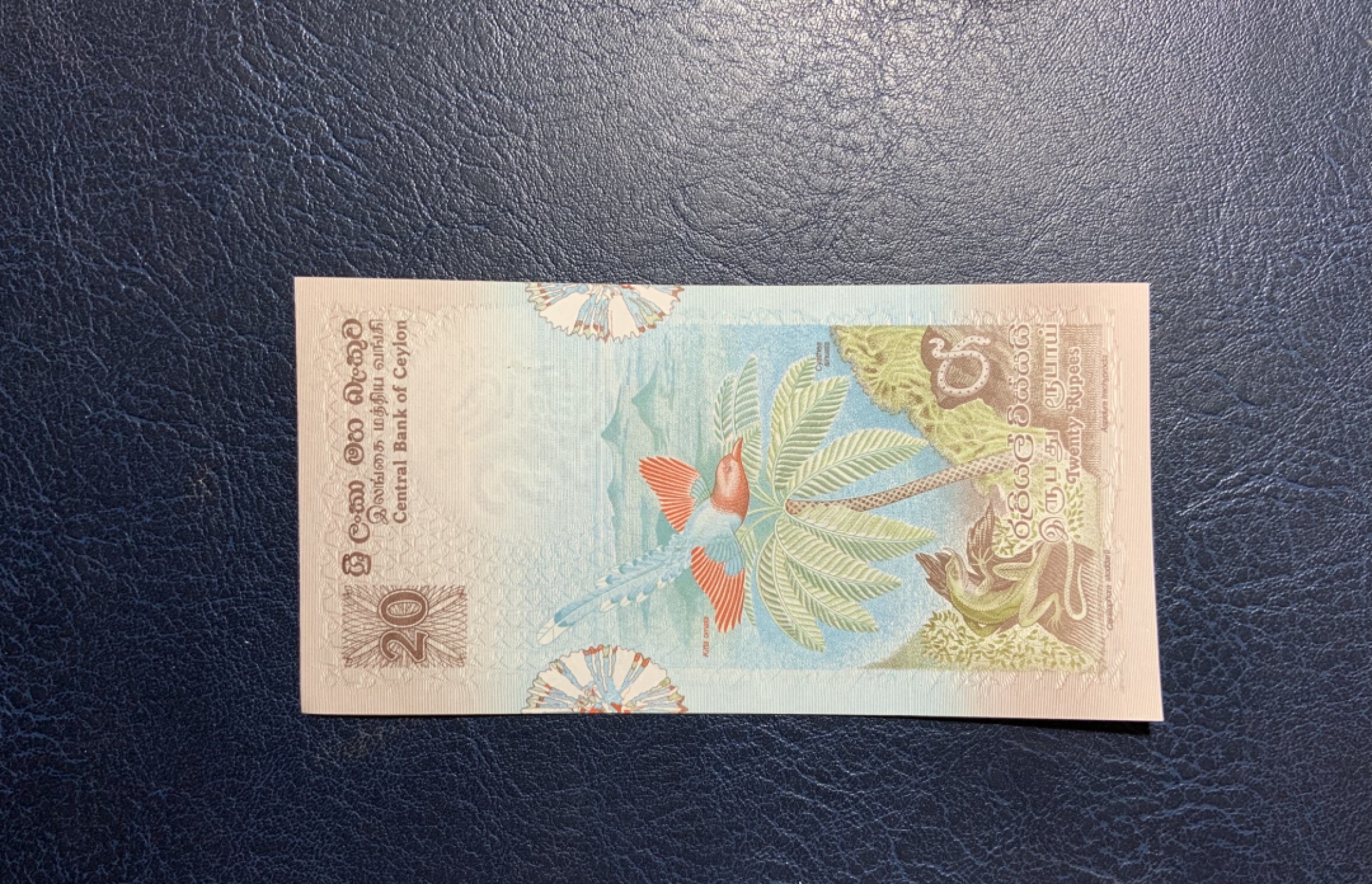 收藏联盟Quantum Auction 第261期拍卖  斯里兰卡1979年20卢比 品相UNC