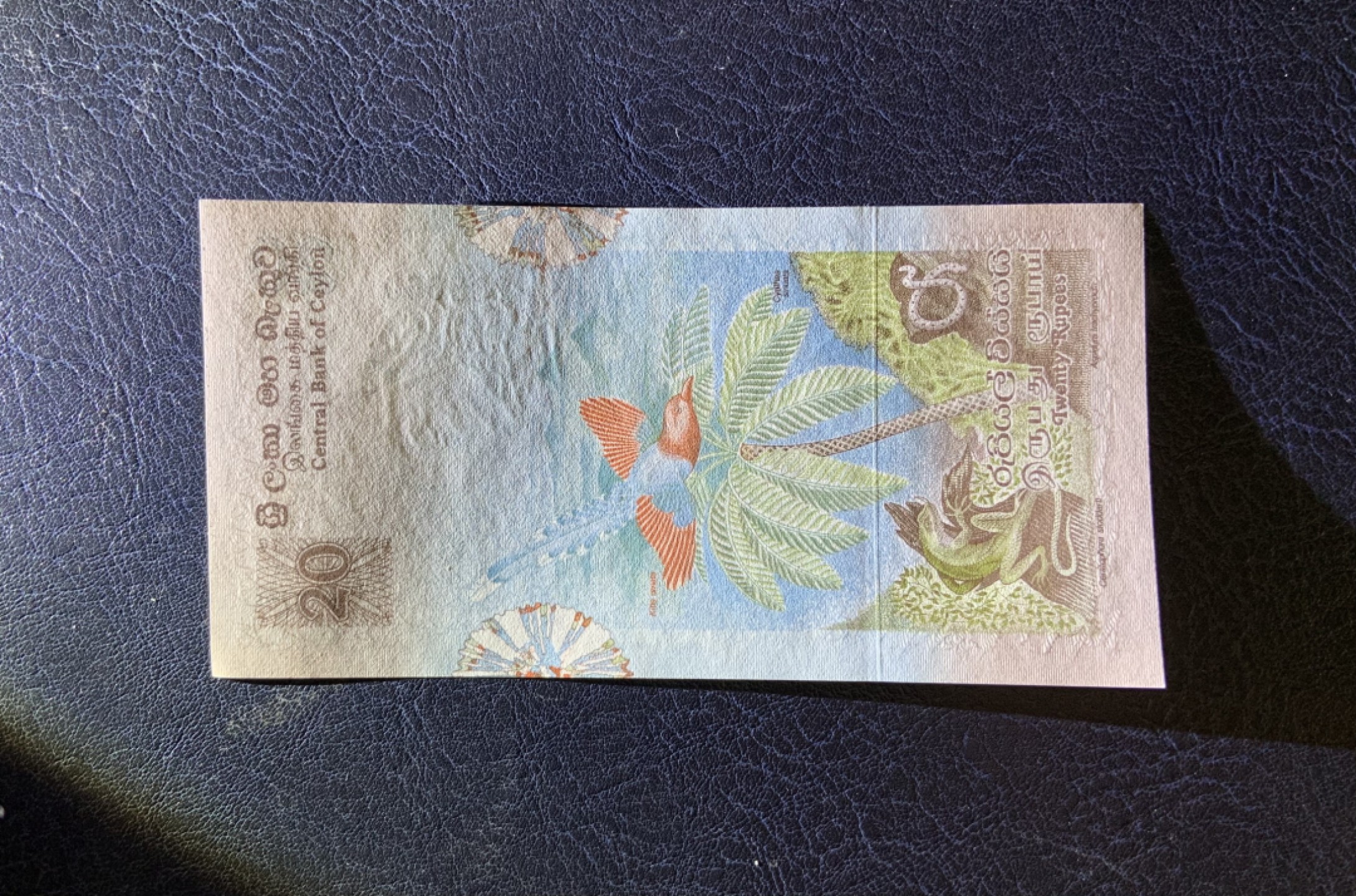 收藏联盟Quantum Auction 第261期拍卖  斯里兰卡1979年20卢比 品相UNC