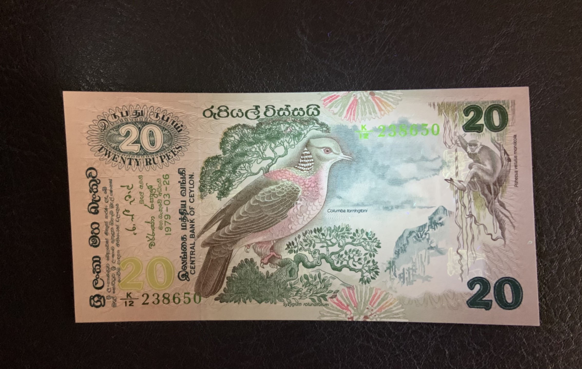 收藏联盟Quantum Auction 第261期拍卖  斯里兰卡1979年20卢比 品相UNC