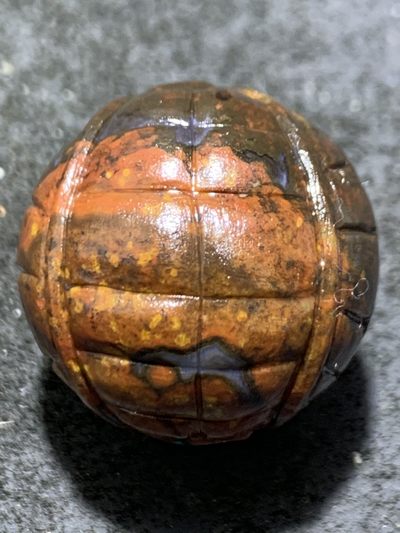 精美亚光冰飘战国红雕刻龟壳珠子一颗，寓意，富甲天下， 精美亚光冰飘战国红雕刻龟壳珠子一颗，寓意，富甲天下，