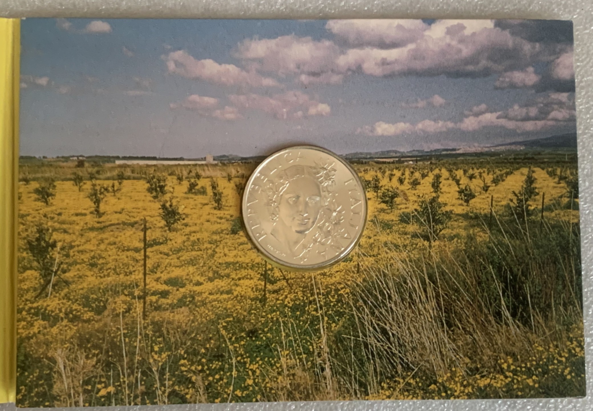 瓶子🏺第93期拍卖会 意大利1993年动植物系列500里拉女神纪念银币