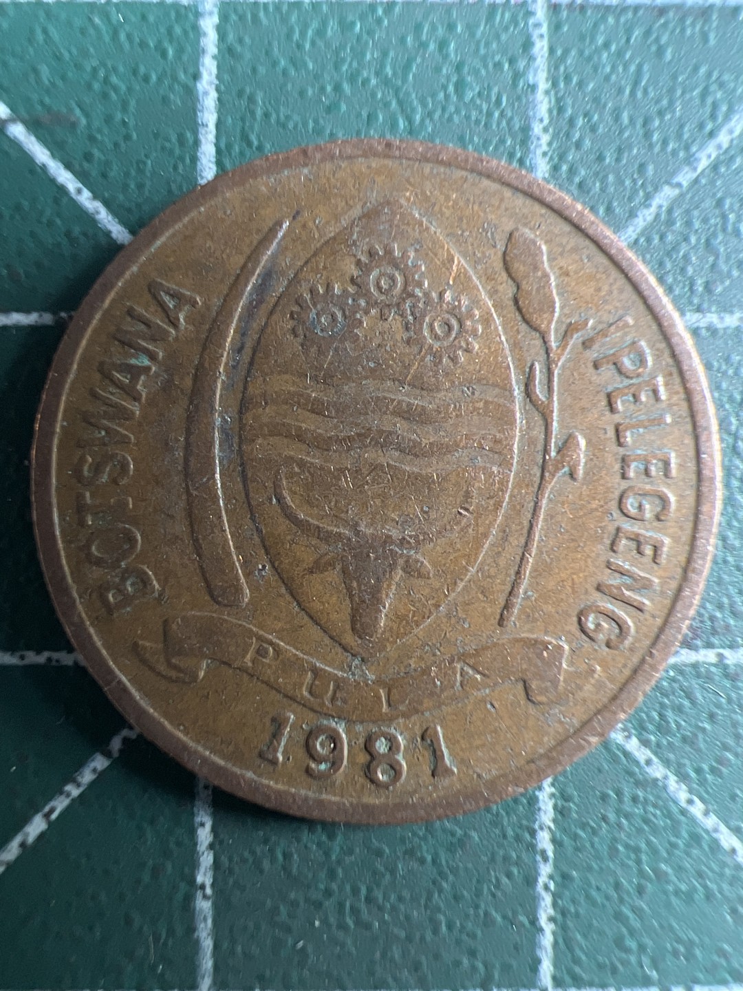 泡泡堂第324期  世界硬币 （无押金，捡漏，全场20包邮，偏远地区除外，接收代拍业务） 博茨瓦纳5瑟比