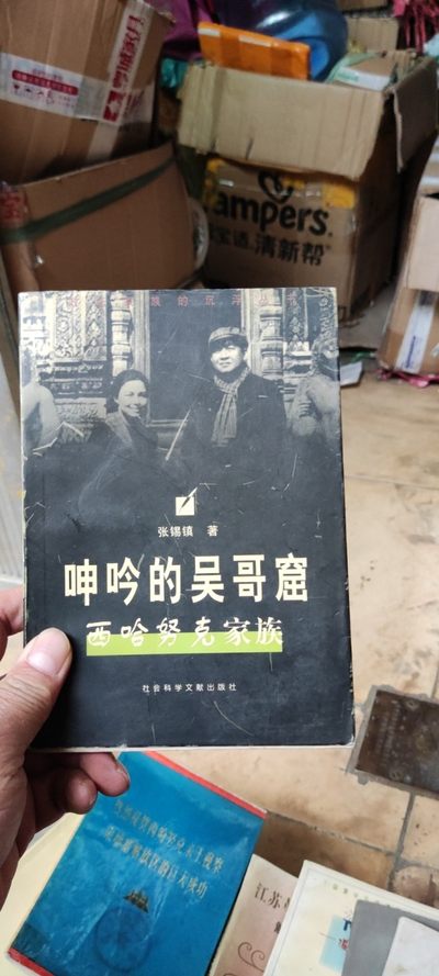 呻吟的吴哥窟 西哈努克家族（私藏本8品左右） - 呻吟的吴哥窟 西哈努克家族（私藏本8品左右）